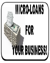 Government Micro-Loans 